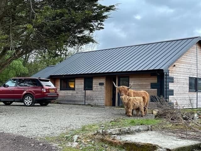 New Build Lodge With Stunning Views Of Loch Awe Hayfield  Exterior foto
